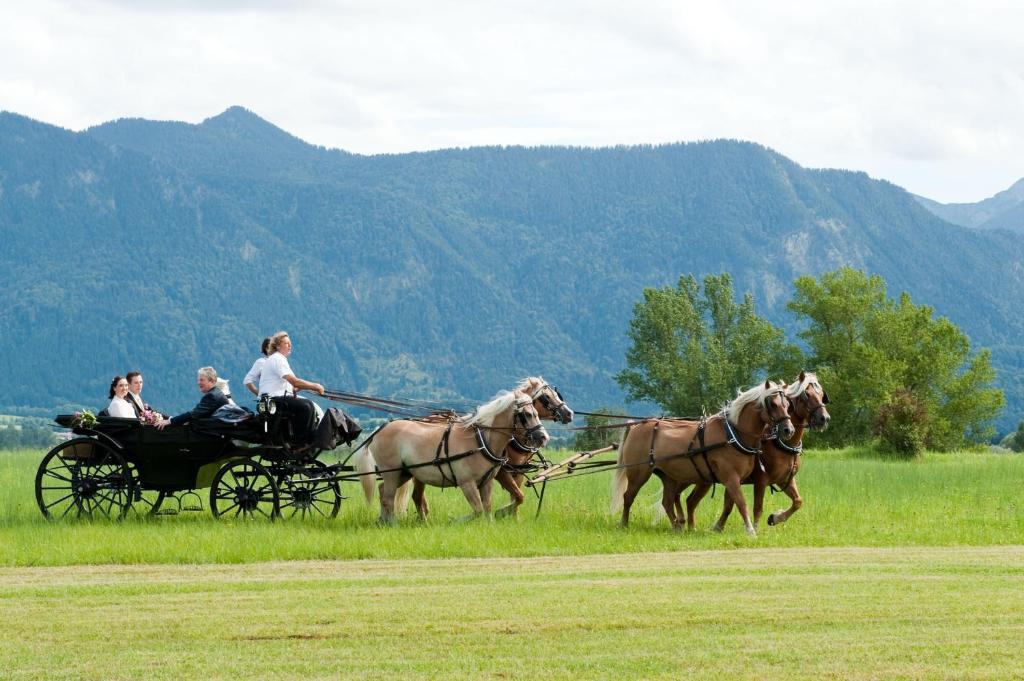 Alpenhof Murnau Murnau am Staffelsee Exteriör bild
