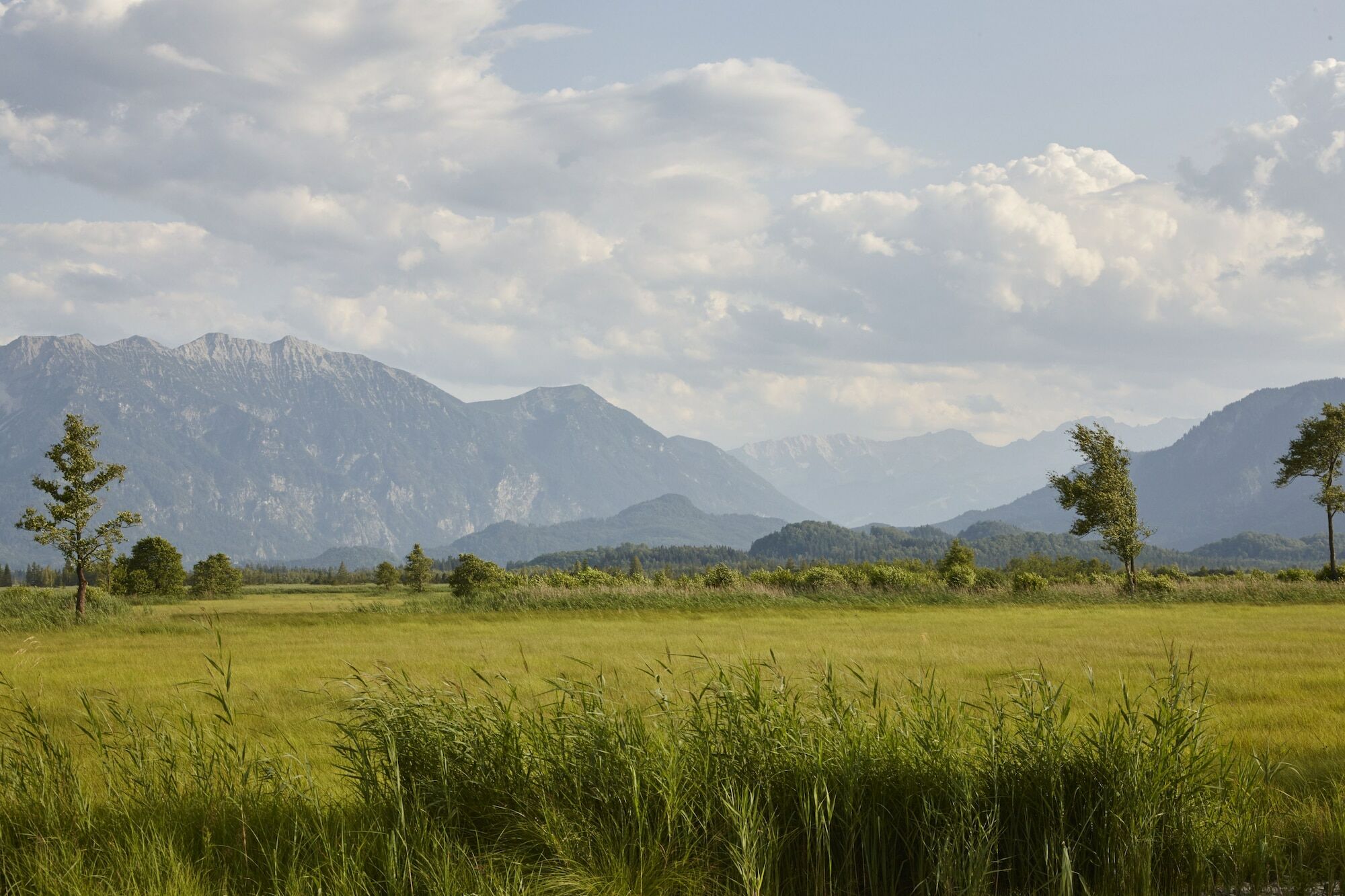 Alpenhof Murnau Murnau am Staffelsee Exteriör bild